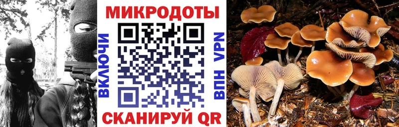hydra tor  Саяногорск  Галлюциногенные грибы Psilocybe 